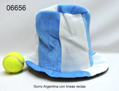 Imagen de GORRO ARGENTINA LINEAS RECTAS 2.24